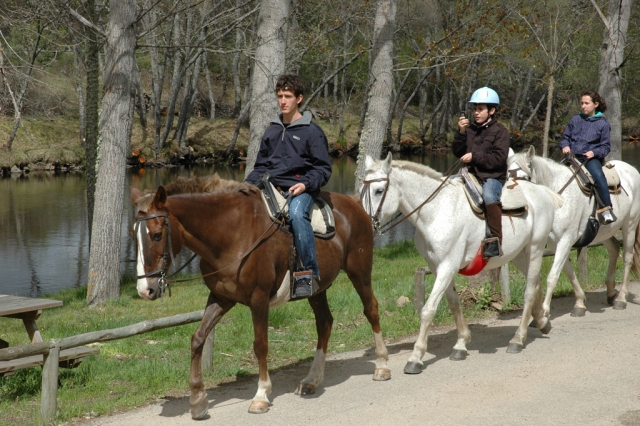 Cabalgamarras de todos los niveles